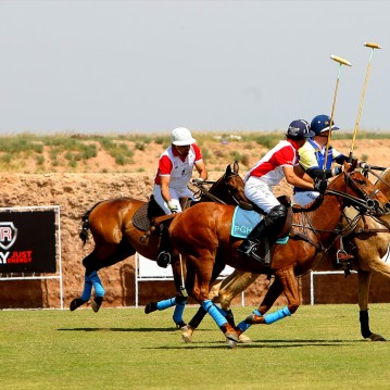 British Polo Day