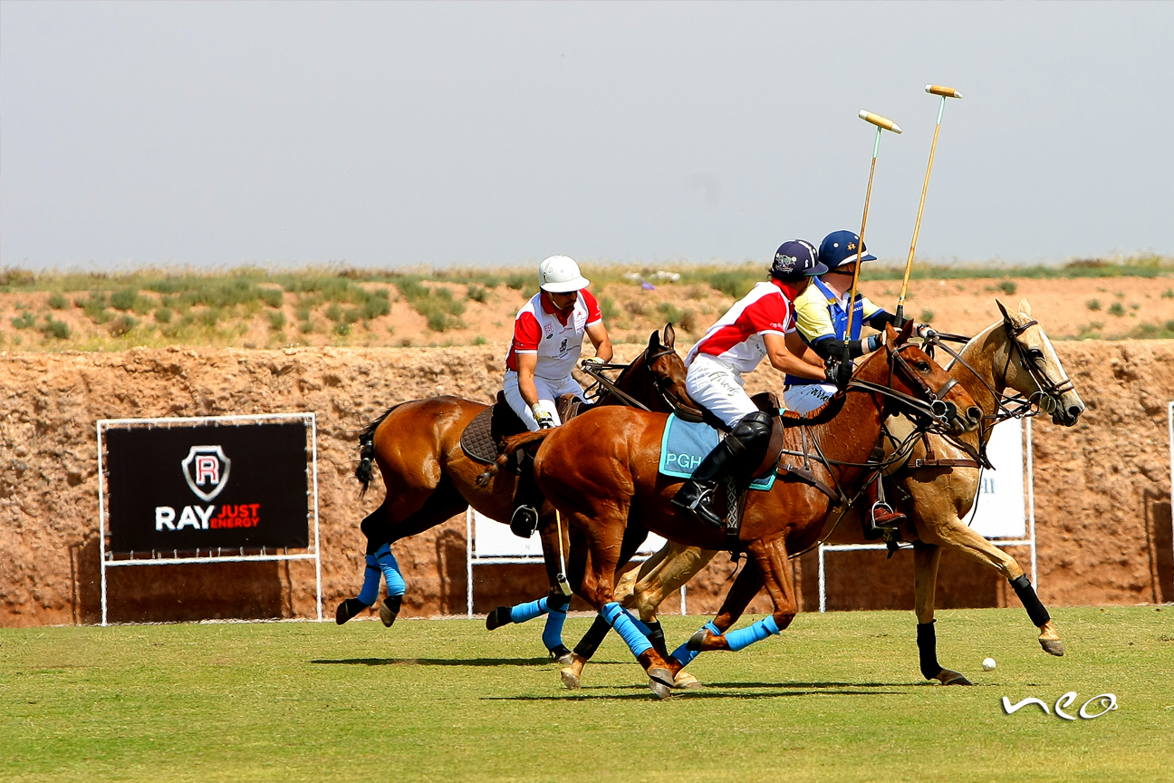 British Polo Day